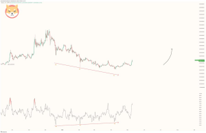 Shiba Inu (SHIB) Menggila!  Lonjakan 30% Tunjukkan Sinyal Bullish?