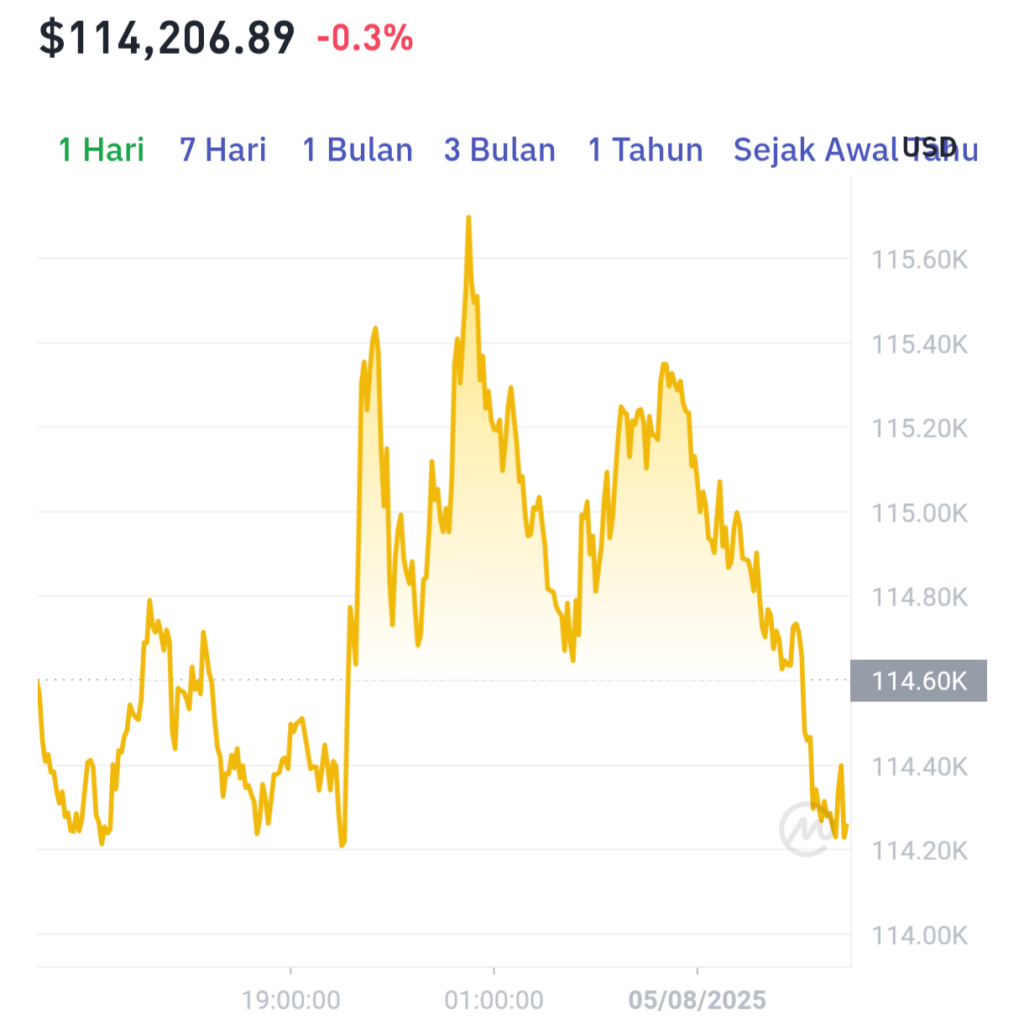 Bitcoin Anjlok ke $114K! Sinyal Beli atau Jual? Simak Analis!