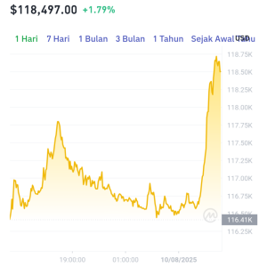 Bitcoin Nyaris Sentuh Puncak! Apa yang Terjadi?