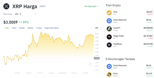 XRP Terancam! Holder Panik Jual Aset, Harga Bakal Anjlok?