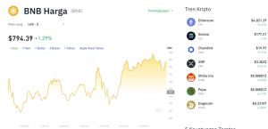 Kejutan! Koin DeFi Ini Bakal Kalahkan BNB di 2025?