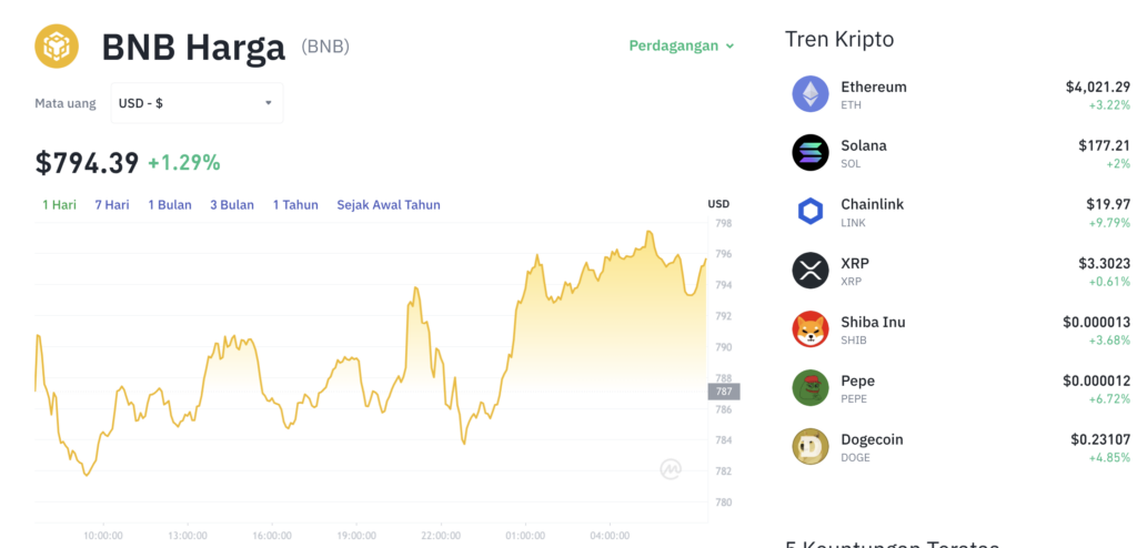Kejutan! Koin DeFi Ini Bakal Kalahkan BNB di 2025?