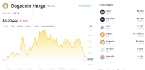 Dogecoin Bakal Bulan-bulanan? Analis Ramal Reli Gila-Gilaan!