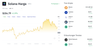 Solana Menuju $250? Sinyalnya Masih Misterius!