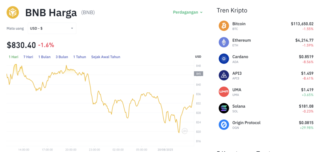 BNB Jeblok! Akankah $780 Jadi Garis Pertahanan Terakhir?