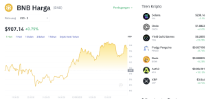 Apakah BNB Raja Kripto Baru?  Harga Tembus Rekor!