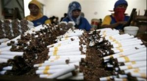 Rahasia di Balik Isu PHK Gudang Garam: Siapa Sosok di Puncak Kekuasaan?