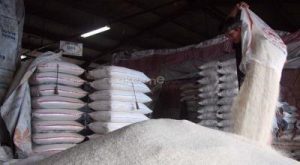 Rekor! Produksi Beras Indonesia Tembus Angka Fantastis!