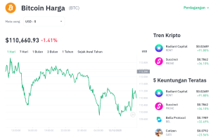 Bitcoin Terjun Bebas! Apa yang Terjadi dengan Pasar Kripto?