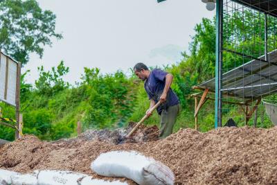 Harta Karun Bioenergi RI: Kunci Ketahanan Energi Masa Depan?