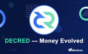 Decred (DCR) Terbang Tinggi! Harga Meroket, Investor Panik FOMO?