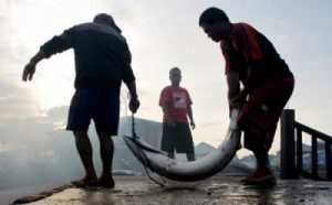 Terkuak! Strategi Jitu Askrindo Jamin Keamanan Ekonomi Maritim