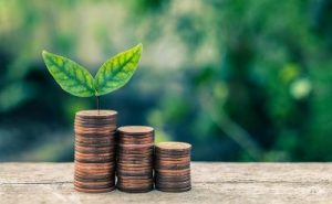 Skor ESG: Kunci Pendanaan Global dan Reputasi Abadi Perusahaan?