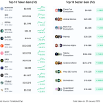 Pasar Kripto Geger! Solana Dikuasai Meme Coin, BNB Siap Balas?