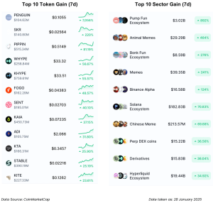 Pasar Kripto Geger! Solana Dikuasai Meme Coin, BNB Siap Balas?