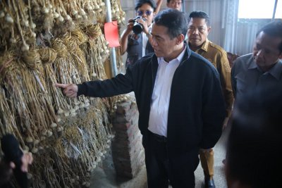 Mengejutkan! NTB Kunci Swasembada Pangan 2030, Ini Alasannya