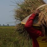 Rahasia di Balik Lonjakan Bitcoin ke $74.646: Akankah Tembus ATH?