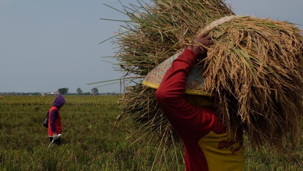 Rahasia di Balik Lonjakan Bitcoin ke $74.646: Akankah Tembus ATH?