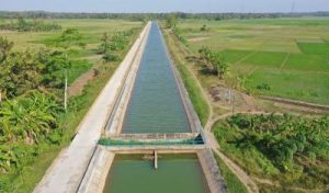 Bukan Sihir! Petani RI Hemat Air 20% di Tengah Kemarau Parah