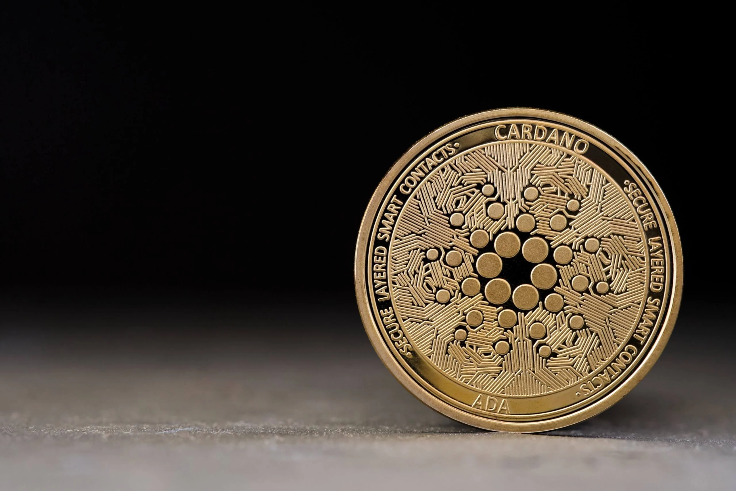 Hard Fork Van Rossem Sukses, Cardano (ADA) di Ambang Reli ke US$0,20?