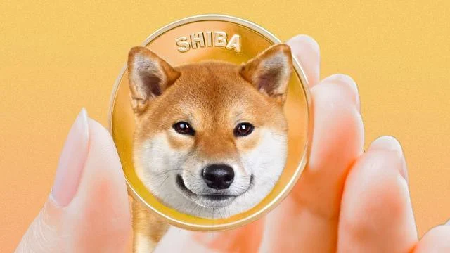 SHIB Bertahan di Atas Support, Mampukah Burn Rate 41% Memicu Kebangkitan Sang Anjing Meme?