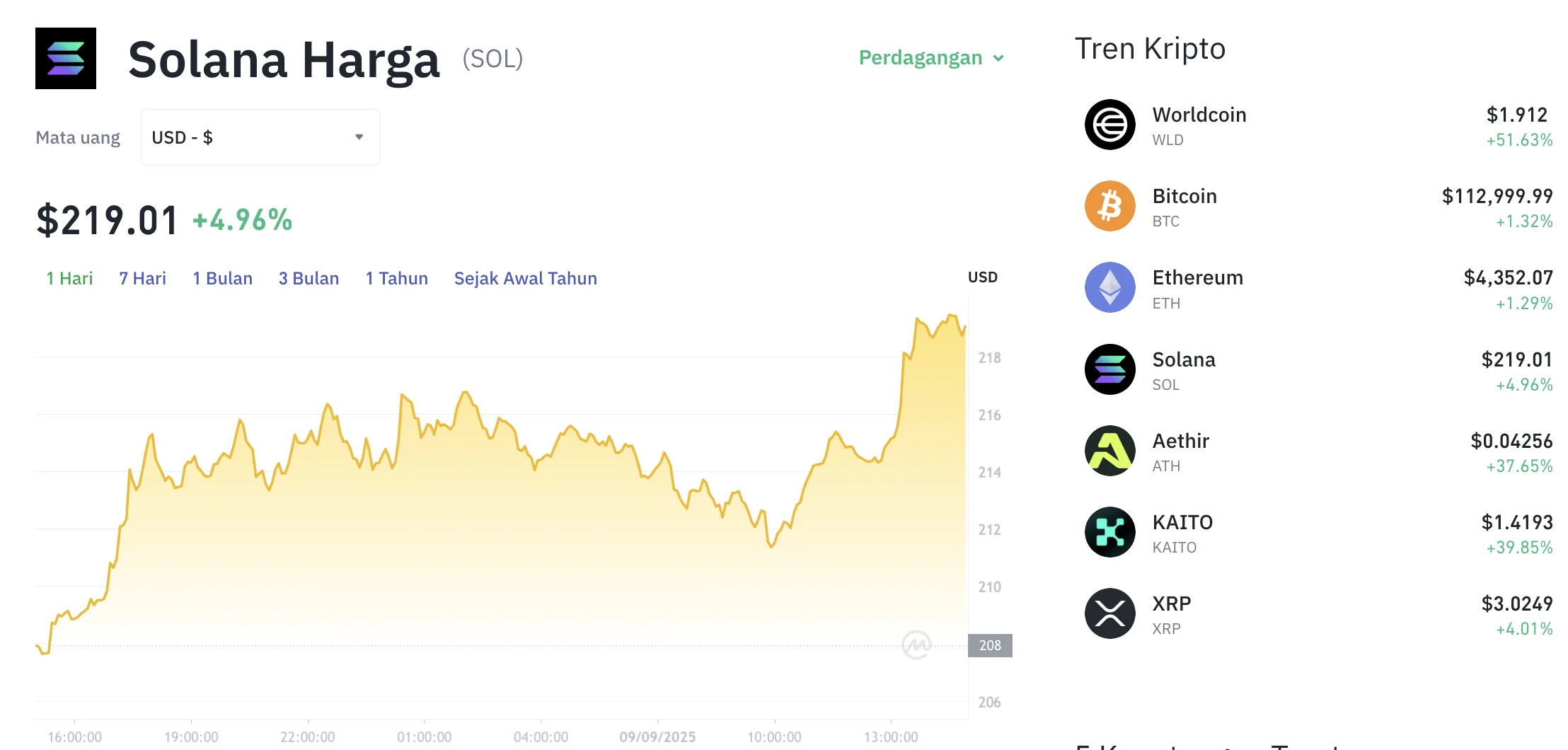 Siap Terbang Lagi? Harga Solana Kembali 'Hijau', Momentum Bullish Berlanjut di Atas US$80!