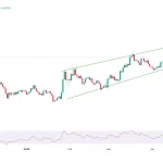 HYPE Terancam Anjlok Lebih Dalam: Support Kritis US$48 Menjadi Penentu Nasib!