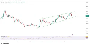 HYPE Terancam Anjlok Lebih Dalam: Support Kritis US$48 Menjadi Penentu Nasib!