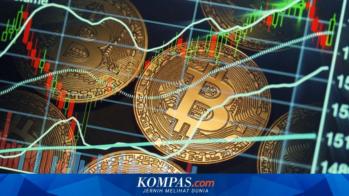 Keajaiban Kripto: 61 Bitcoin Hilang 12 Tahun Kembali Jadi Rp78 Miliar!