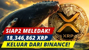 Paradoks Pasar Kripto: UNI Anjlok 18% di Tengah Aksi Borong 'Whale' dari Binance