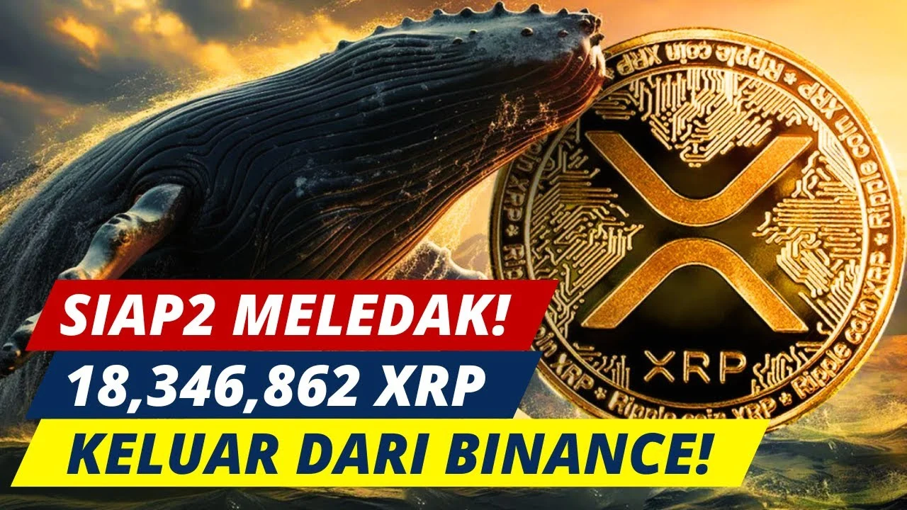Paradoks Pasar Kripto: UNI Anjlok 18% di Tengah Aksi Borong 'Whale' dari Binance