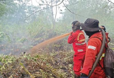 Investasi Terguncang? 5 Izin Perusahaan Hutan Dicabut Fatal!