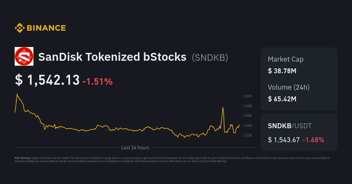 Mengintip Prospek SNDKB: 3 Pilar Krusial yang Akan Mengendalikan Harga Tokenized Stocks SanDisk