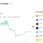 Poros Informasi 9 Solana Terpeleset! Akankah $117 Menjadi Benteng Terakhir?