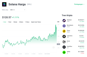Solana Rebound! Akankah Level $120 Jadi Batu Loncatan Baru?