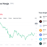 Poros Informasi 9 Solana Tergelincir! Akankah Koreksi Ini Jadi Sinyal Bahaya?