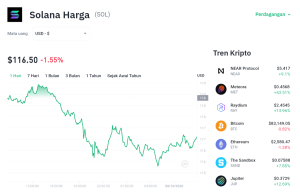 Solana Tergelincir! Akankah Koreksi Ini Jadi Sinyal Bahaya?