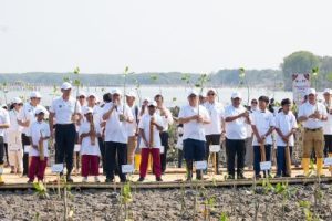 Strategi BRI Selamatkan Demak: 30 Ribu Mangrove & Inovasi Sampah!