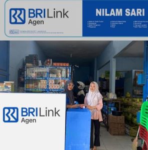 Dari Toko Besi ke 15 Gerai: Strategi Cuan Agen BRILink!