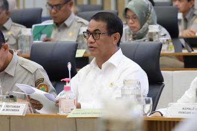 Strategi Besar Swasembada: 2 Juta Hektar Lahan Baru Disiapkan! 1 Strategi Besar Swasembada: 2 Juta Hektar Lahan Baru Disiapkan!